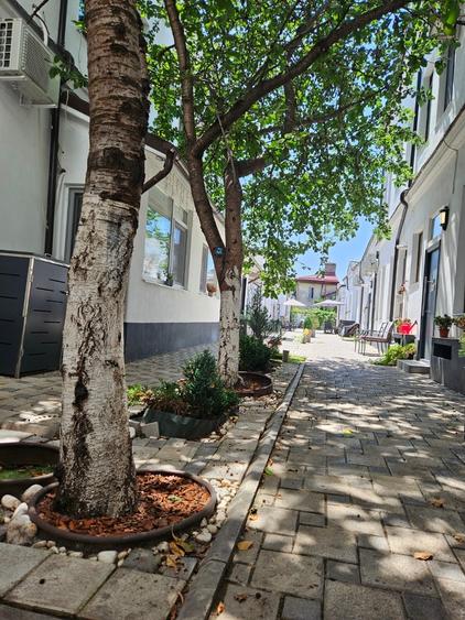 Apartament in Vila Calea Calarasi 132 etaj 1 + mansarda acces curte interioara - 21