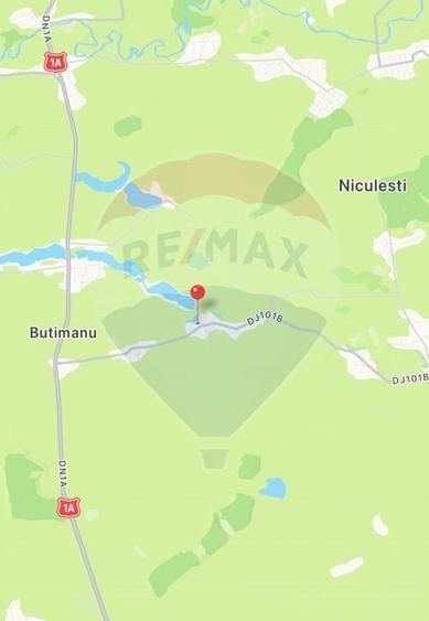 Teren 1537mp cu Livada si Iesire la Lac in Niculesti-Dambovita - 15