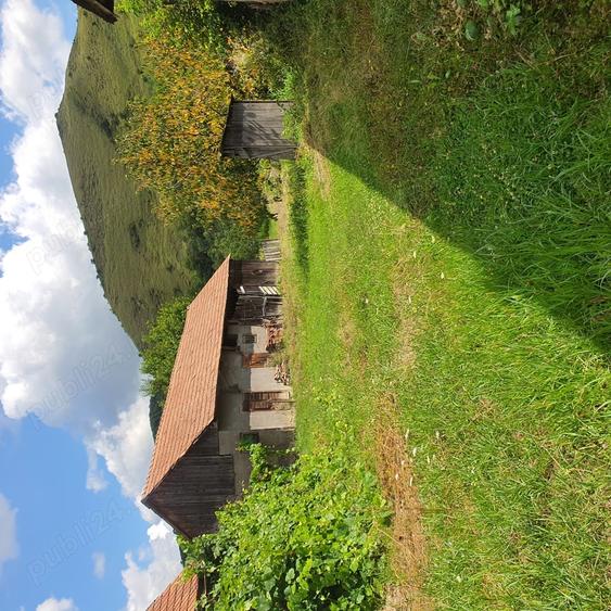 Vand casa la tara - 8