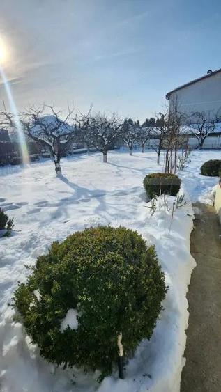 Casa de vanzare, 3 dormitoare, 10 ari teren - 3