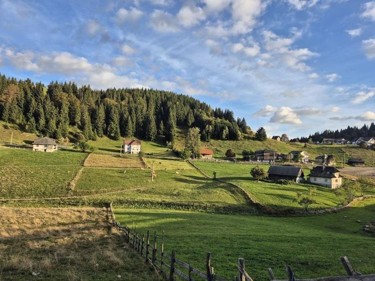 Teren intravilan de v&acirc;nzare Fundata - 3