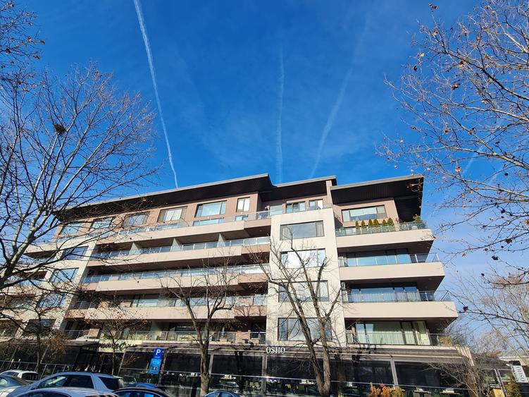 Birou Primaverii PLAZA - 1