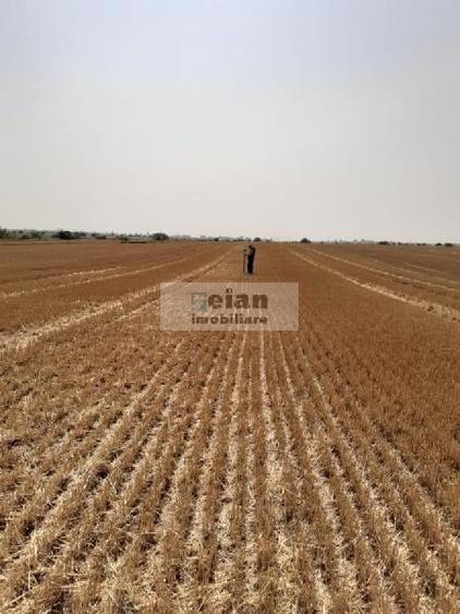 Magurele - Benzinaria Tsv Intravilan 3500 Mp Dubla Deschidere 22/135ml - 5