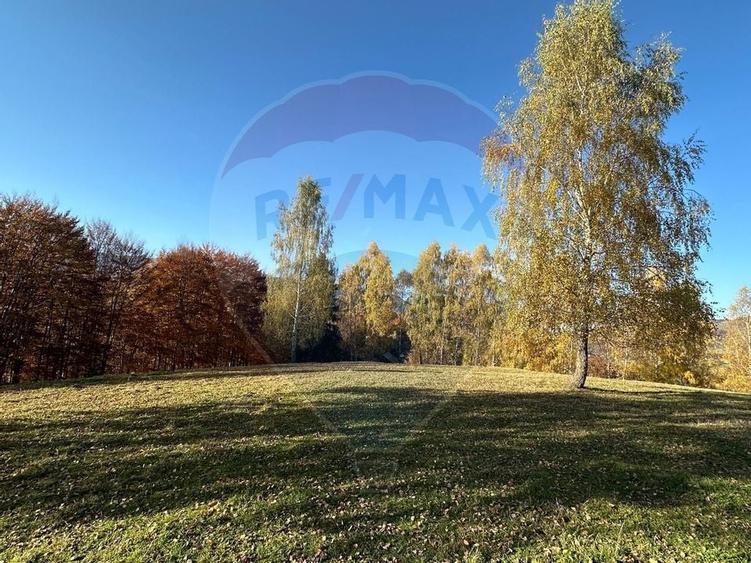 Oportunitate de investiție ! Teren de vis în Pestera - 125.370 mp - 10