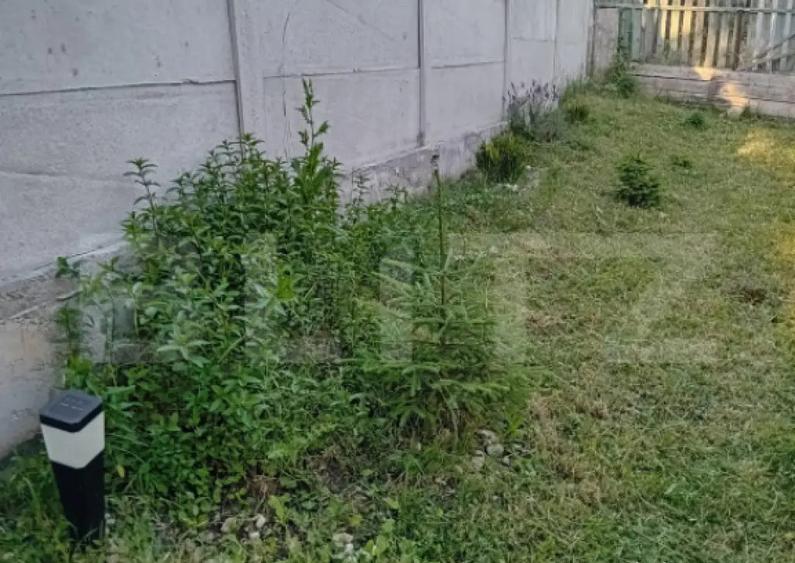 Teren + cabana pe piloi, 661 mp, zona Almasu Sec - 4