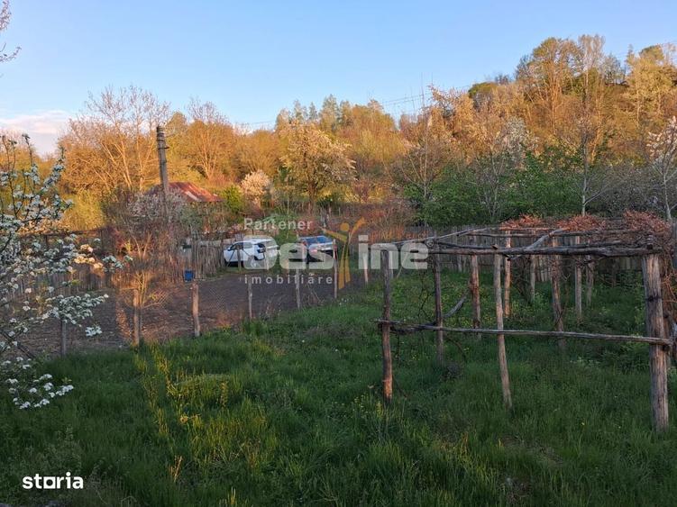 Casa batraneasca cu teren 1150 mp, vie si livada Serbanesti, Paus - 7