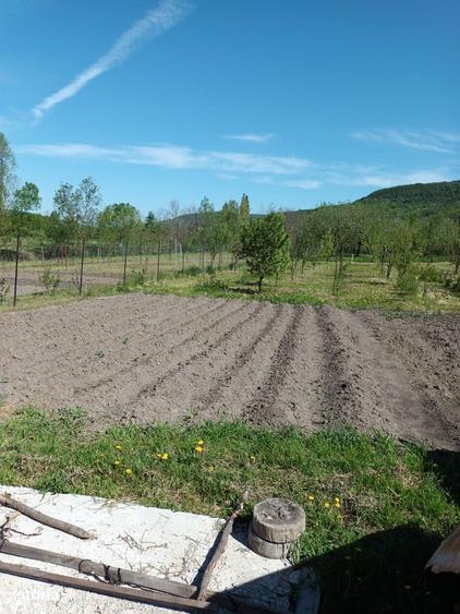 Casa de vanzare, 84 mp, teren 1900 mp, ziduri de caramida - 7