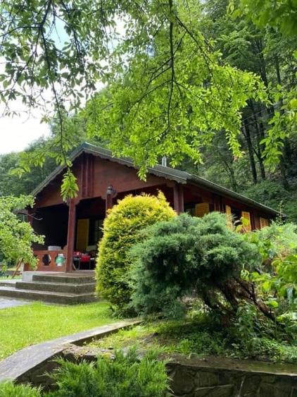 Pensiune montana cu 3200 mp teren in Bicaz, judet Neamt - 1