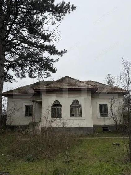 Casa strada principala Caciulatesti, 2714 mp teren, front 104 ml - 1