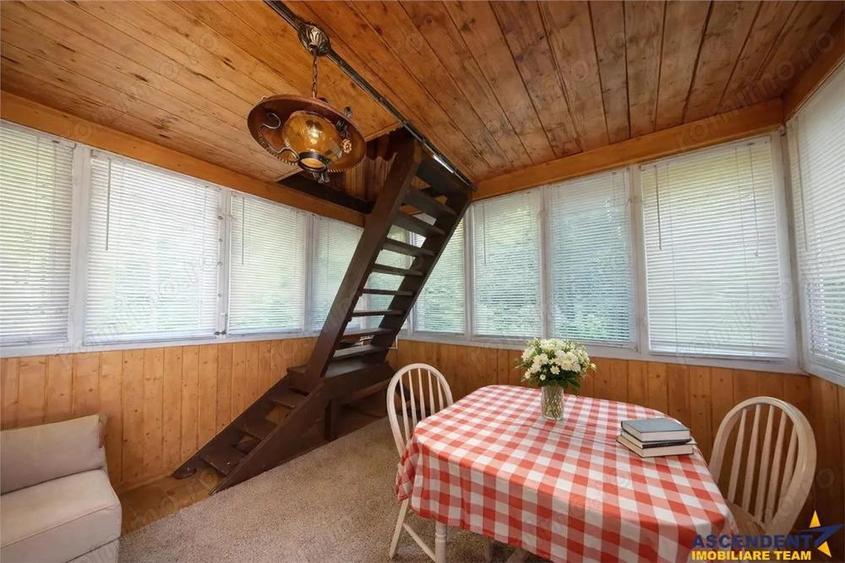 FILM Tur LIVE! Casa de vacanta, intr- o ariere admirabila,Lunca Bradului - 7