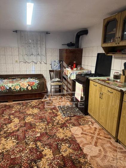 Casa individuala cu teren mare in Remetea Mare - 16