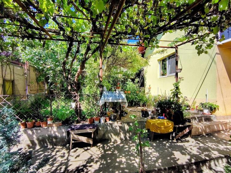 Casa unifamiliala 120 mp utili,  cu 477 mp teren, garaj, Dambul Rotund - 5