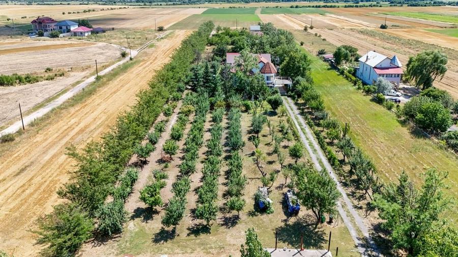 Casa+Laborator+ Teren 12.700 mp + casa de vacanta - Bolintin Vale - 60