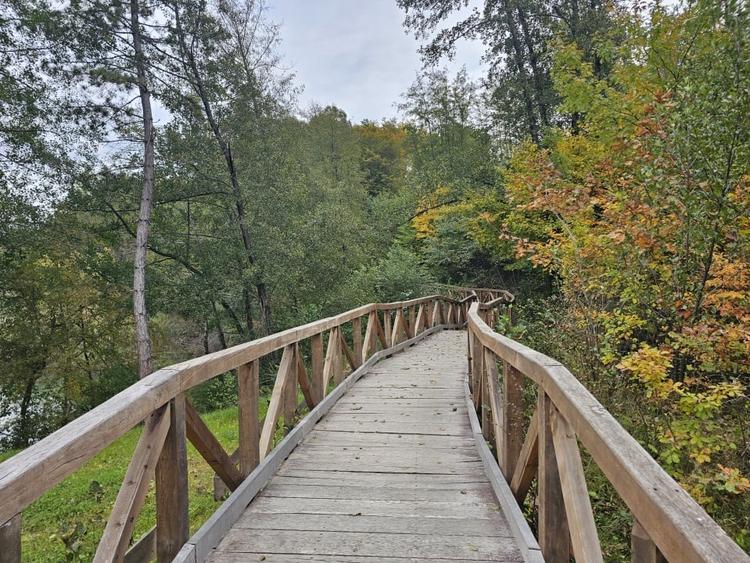 Teren intravilan 2000 mp zona Lac Stei - 4