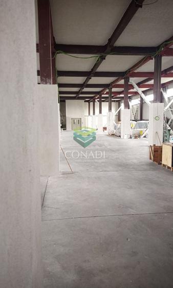 Spațiu industrial, de 4,487 mp, în Sud