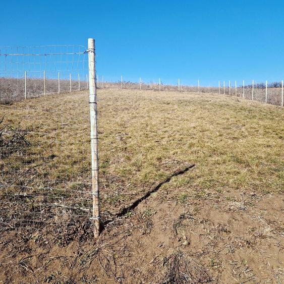 Teren intravilan Sura Mare 504mp - 4