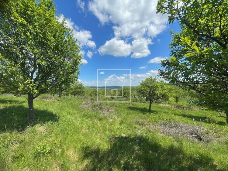 Teren intravilan cu priveliste superba in zona Sibiel - 4