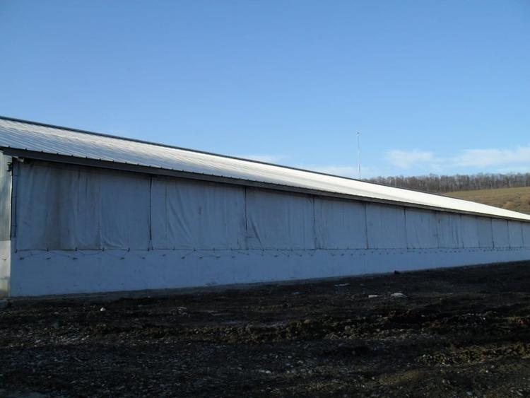 Ferma Zootehnica la standarde Europene - 7