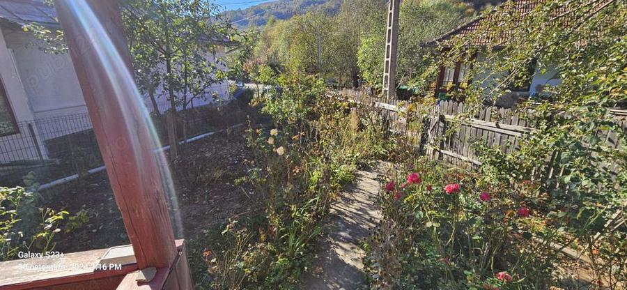 Cristea Gheorghe - 8