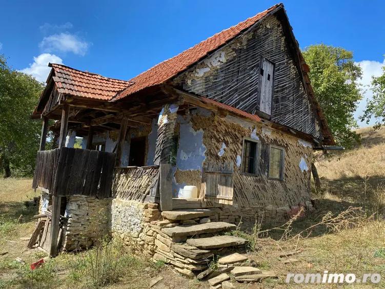 Vand Casa Tradi?ionala cu ?ura - 4