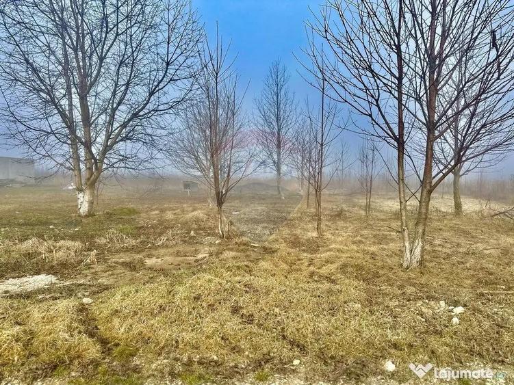 Teren 500mp Turturesti / Strada Principala - 1