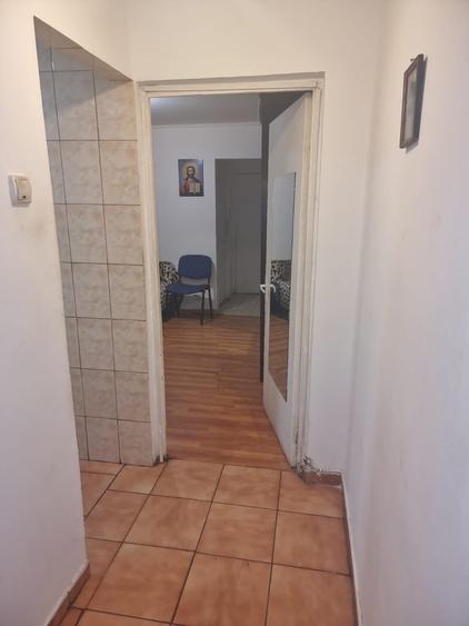 Vadul Nou, Profi - 3