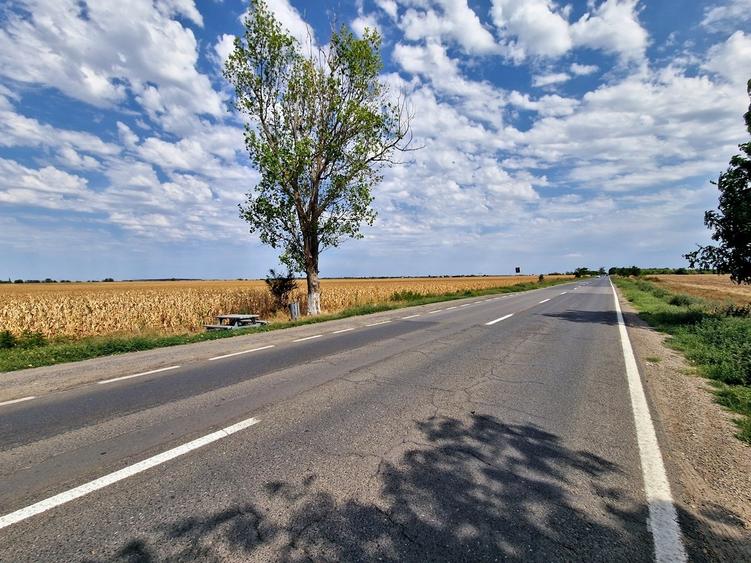 Teren intravilan- ALLEGRIA/ DN4 Glina 187500 mp - 2