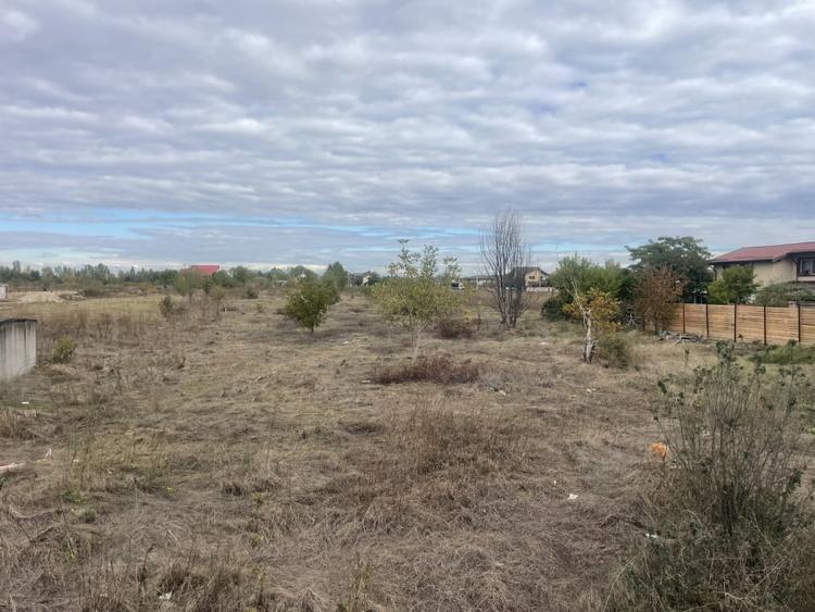 Domnesti, Drumul Targului, teren 1876 mp, 66ml x 28 ml, utilitati la strada - 5