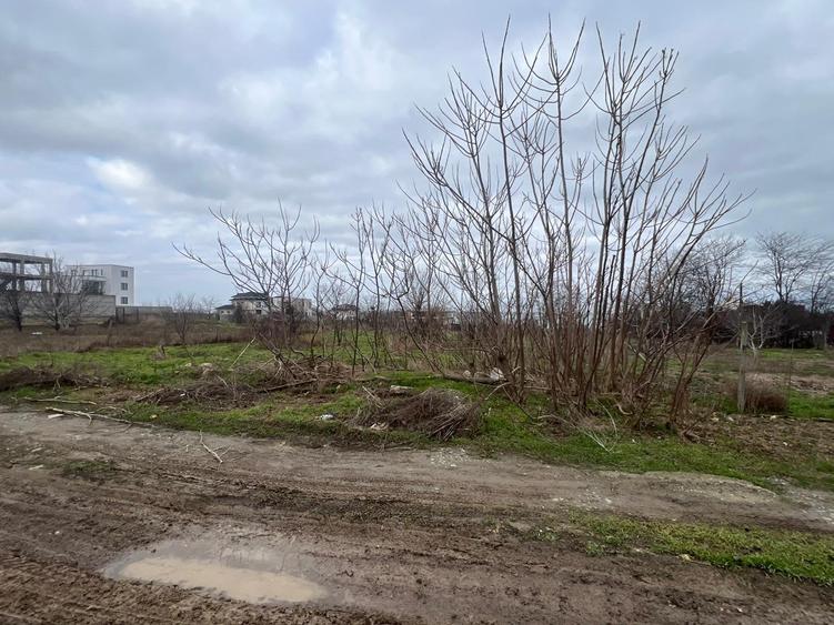 teren constructii (Palazu -Fost Comcereal)790 mp/22 deschidere, CASE IN JUR - 2