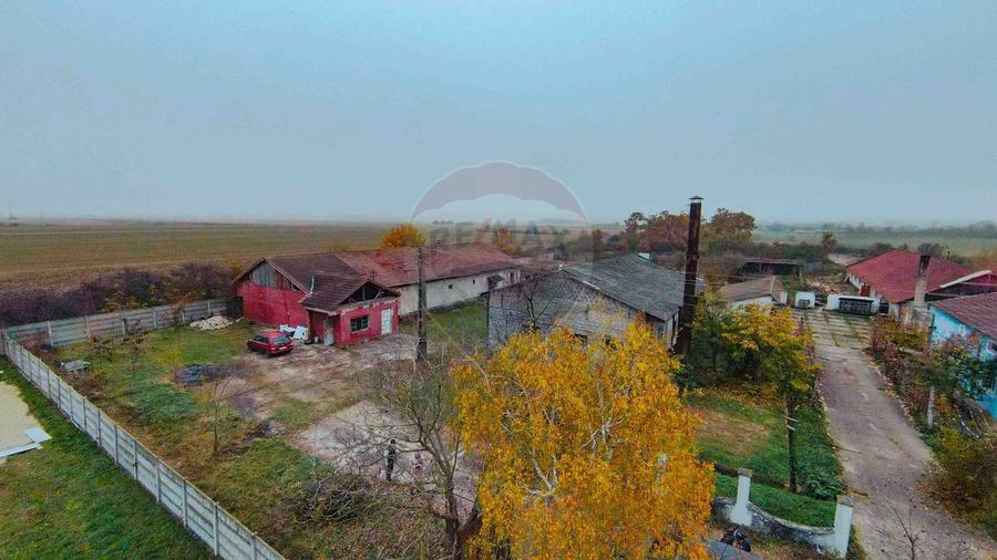 Teren 5674mp si constructii de vanzare, Tilecus - 16