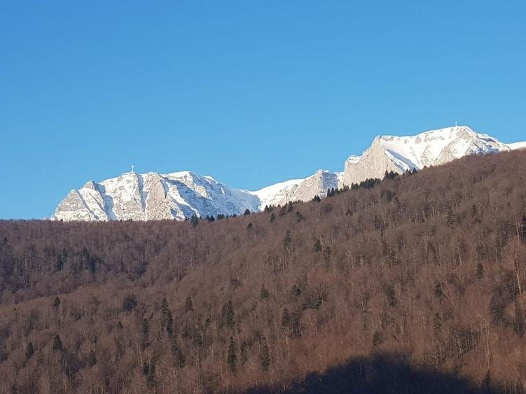 Apartament 2 camere decomandate loc de parcare - 1