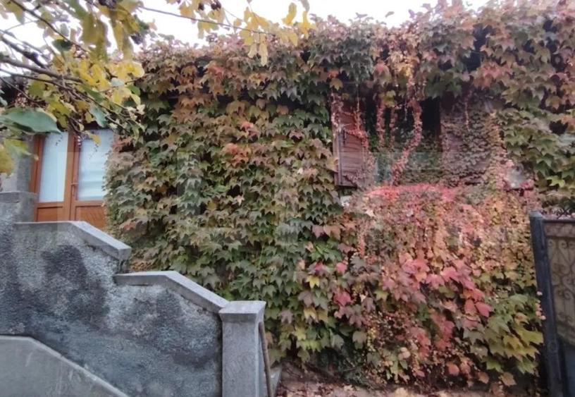 Proprietate semicentrala, casa batraneasca si teren de 462 mp - 1