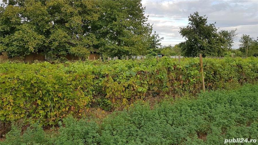 de vanzare casa + teren sat Salceni com Tutova - 1