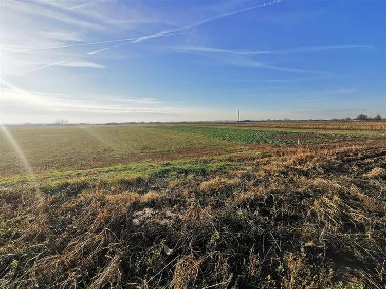 Teren intravilan in Bors cu front la 2 strazi. - 1