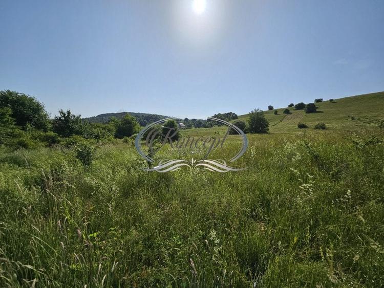 Teren Construcții intravilan de 2000 mp, în Sălicea