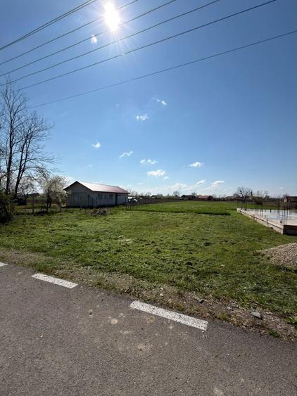 Teren intravilan Ohaba Forgaci , 13 km de Lugoj - 3