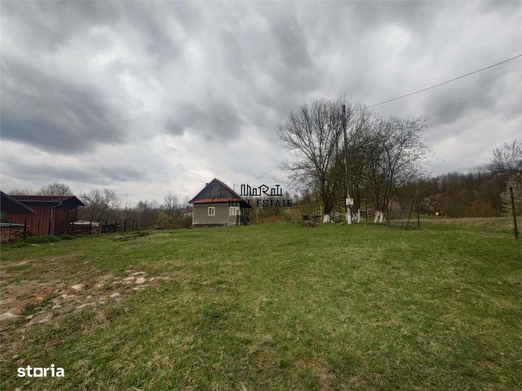 10 000 mp teren intravilan cu priveliste - 6