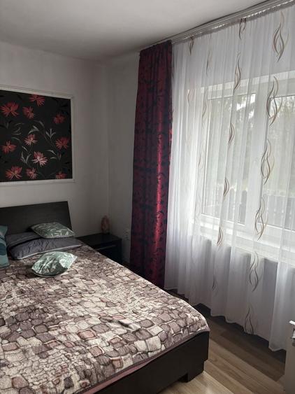 Vand casa Baia Mare Ferneziu - 1