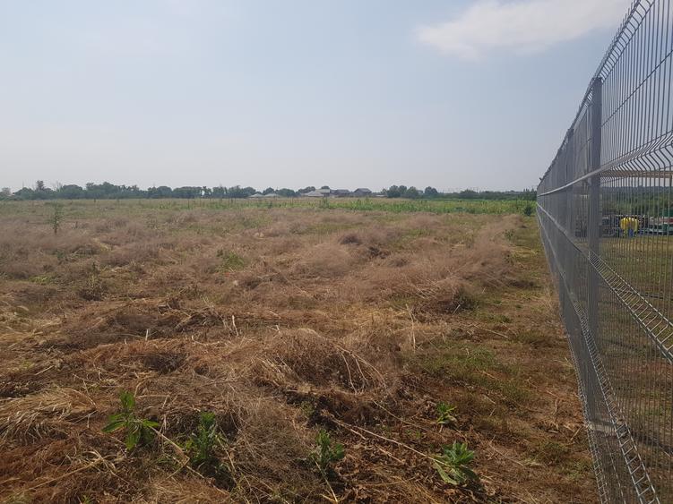 Loturi de teren parcelat, Sabareni, intravilan, 620-650 mp - 12