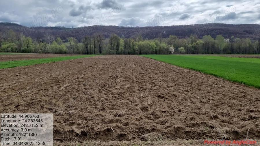 Casa si anexe + terenuri de vanzare - 1