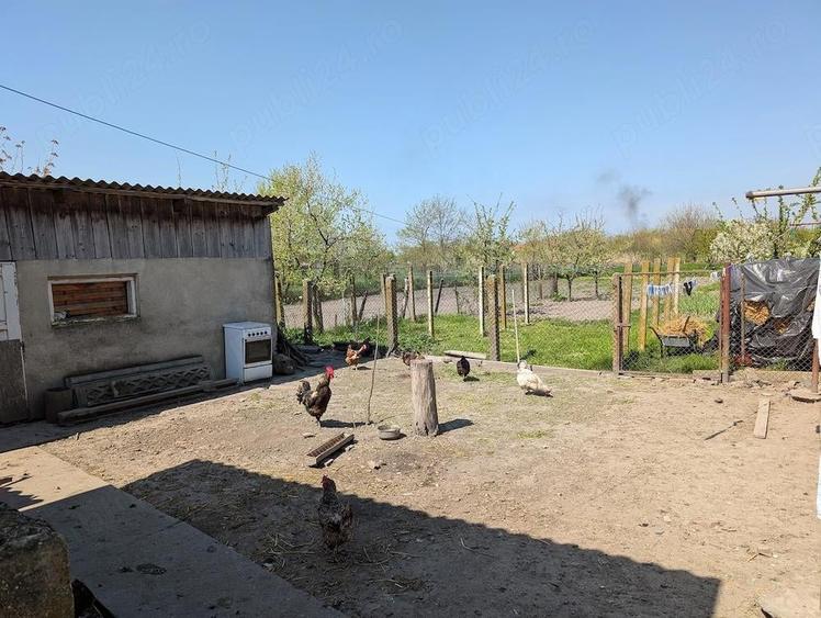 Casa de vanzare - 3