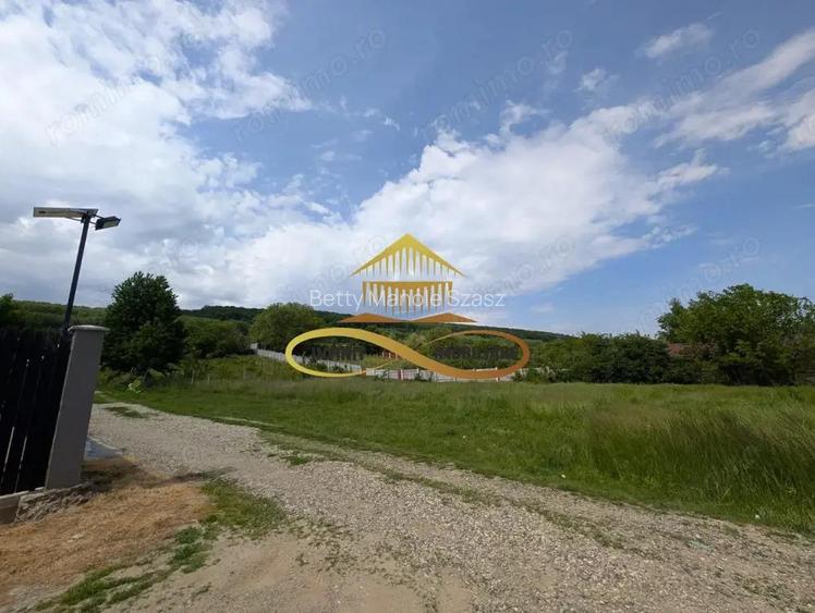 De vanzare casa moderna in Hemeiu?!