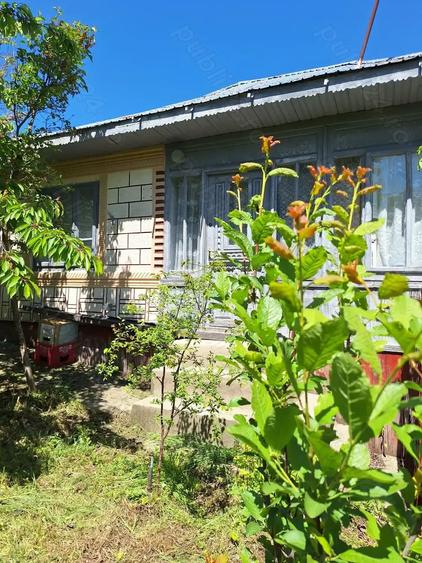 Casă cu 4 camere cu Teren 2093 Mp în Murgești