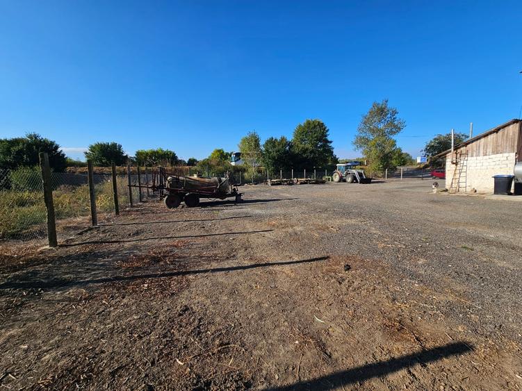 Oportunitate Teren deschidere la E87 Smardan Tulcea - 2