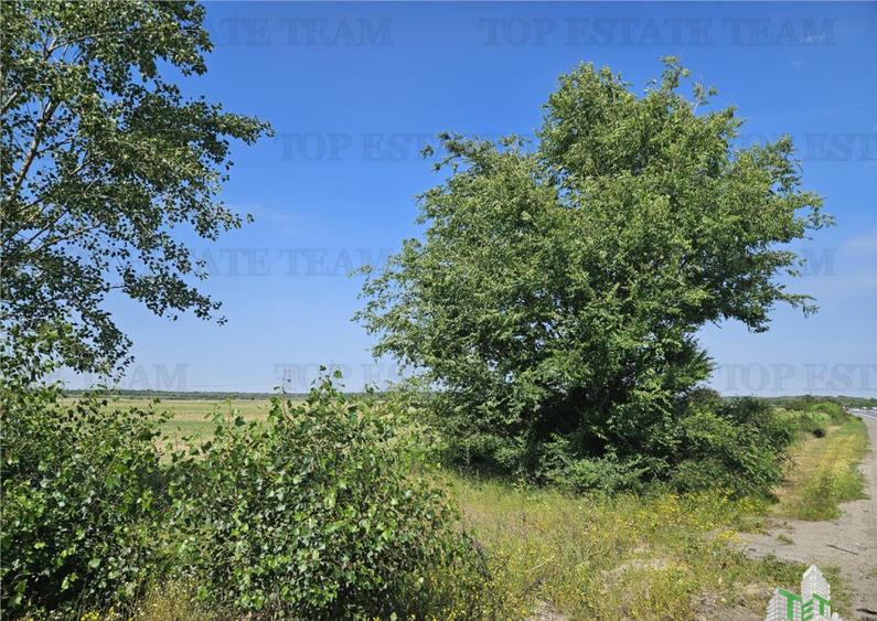 Teren cu pozitionare excelenta la A1, sensul Pitesti Bucure - 13