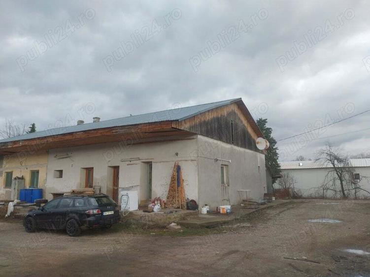 Inchiriez spa?ii produc?ie, Afacere la cheie Gatar ?i cherestea - 3