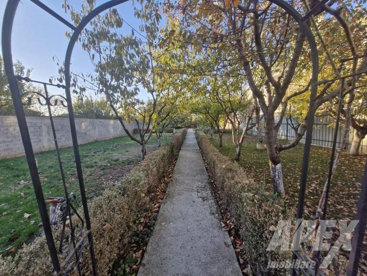 Casa 5 camere | Hala 125 mp | Teren 1500 mp | Magurele Padure - 10