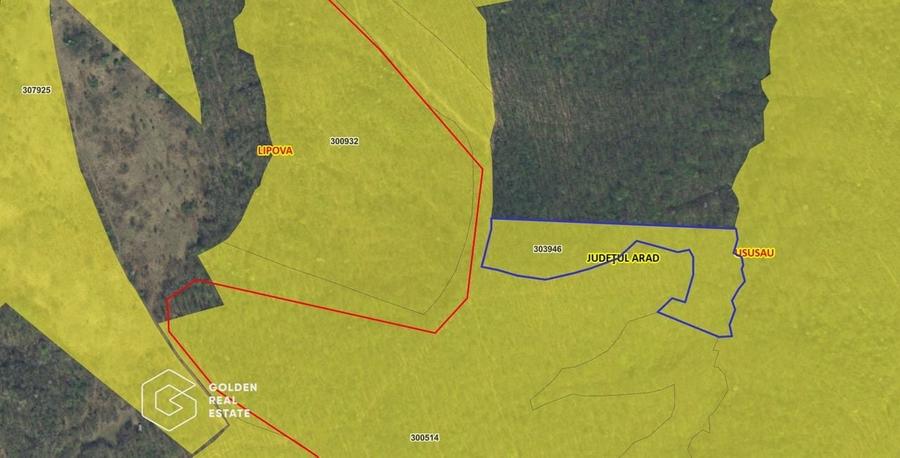 Padure de stejar, Ususau, suprafata 29.800 mp, comision 0% - 2