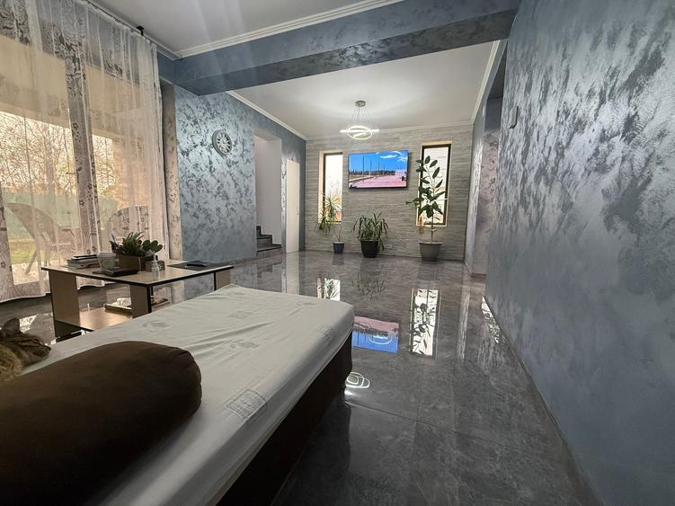 <Casa individuala P+1E> 4 camere 2 bai 327 mp teren MOBILATA - 20