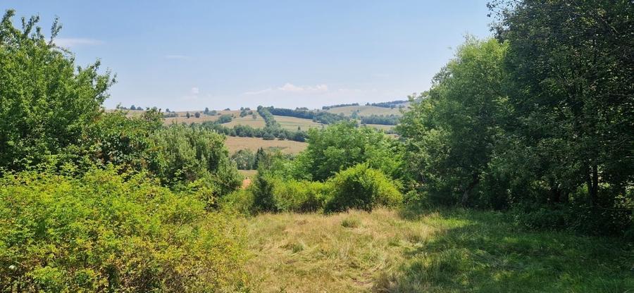 Teren intravilan 4.568 mp, 2 fronturi – Brebu Nou, Caraș-Severin - 1